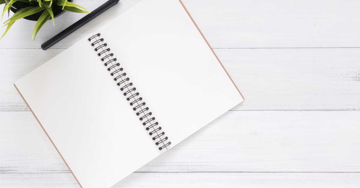 can you duplicate a page in google docs in the same document